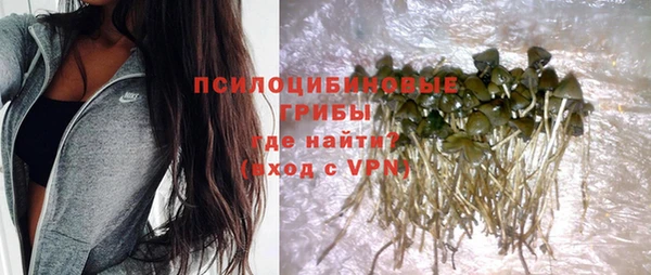 мескалин Кулебаки